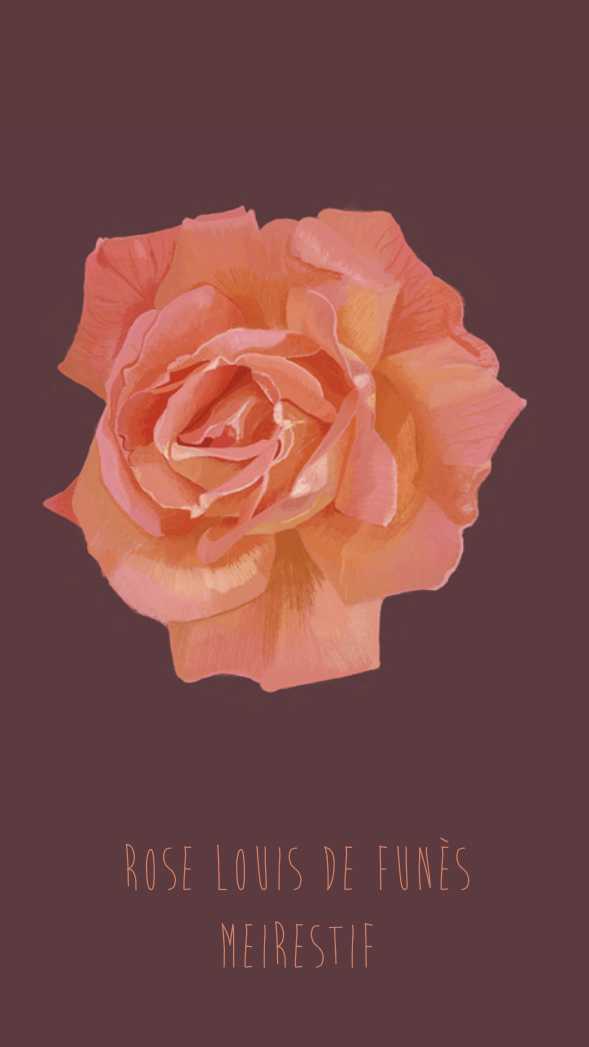 Carnet Emma Chedid – Image 3