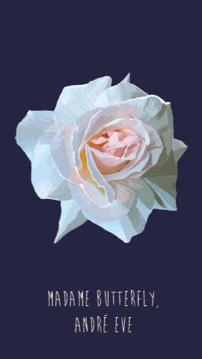 Carnet Emma Chedid – Image 5