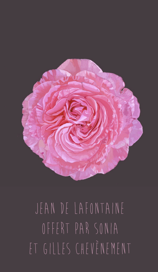 Carnet Emma Chedid – Image 6