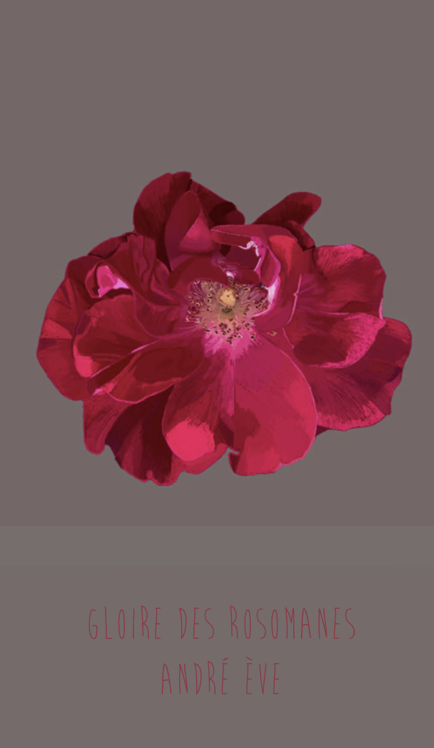 Carnet Emma Chedid – Image 7